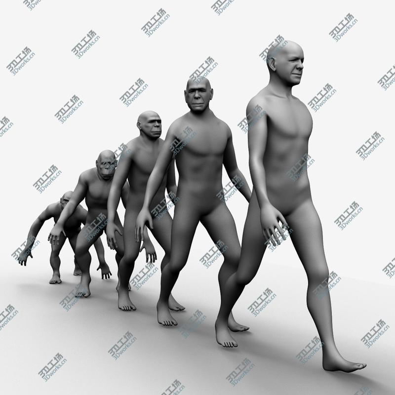 images/goods_img/2021040161/Darwin's Monkeys/3.jpg